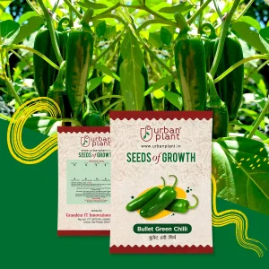 Bullet Green Chilli  Seeds