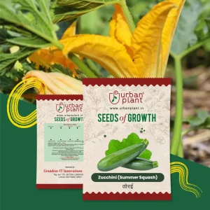 Zucchini (Summer Squash) Seeds